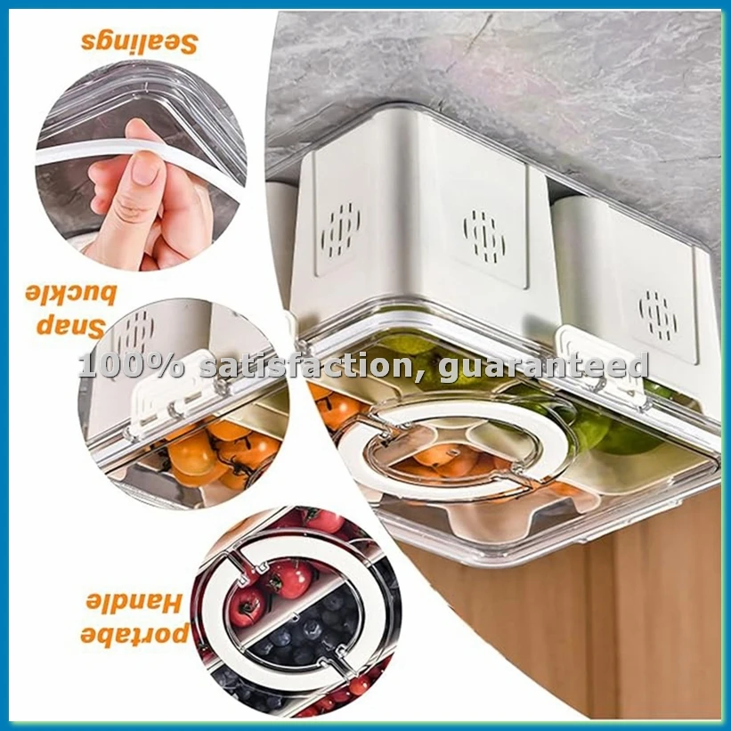 Food Storage Kitchen - Fruit Tray for Large Picnic Refrigerator