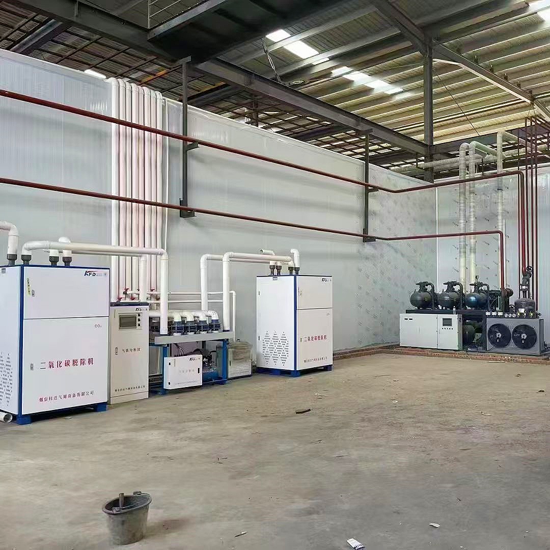 Carbon Dioxide Adsorber Adopt  - Food Storage Technology review and price