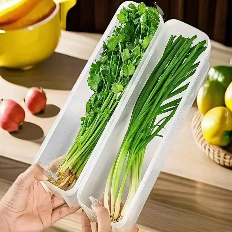 Large Rectangular Food Storage - Food Storage Large Plastic Containers review and price