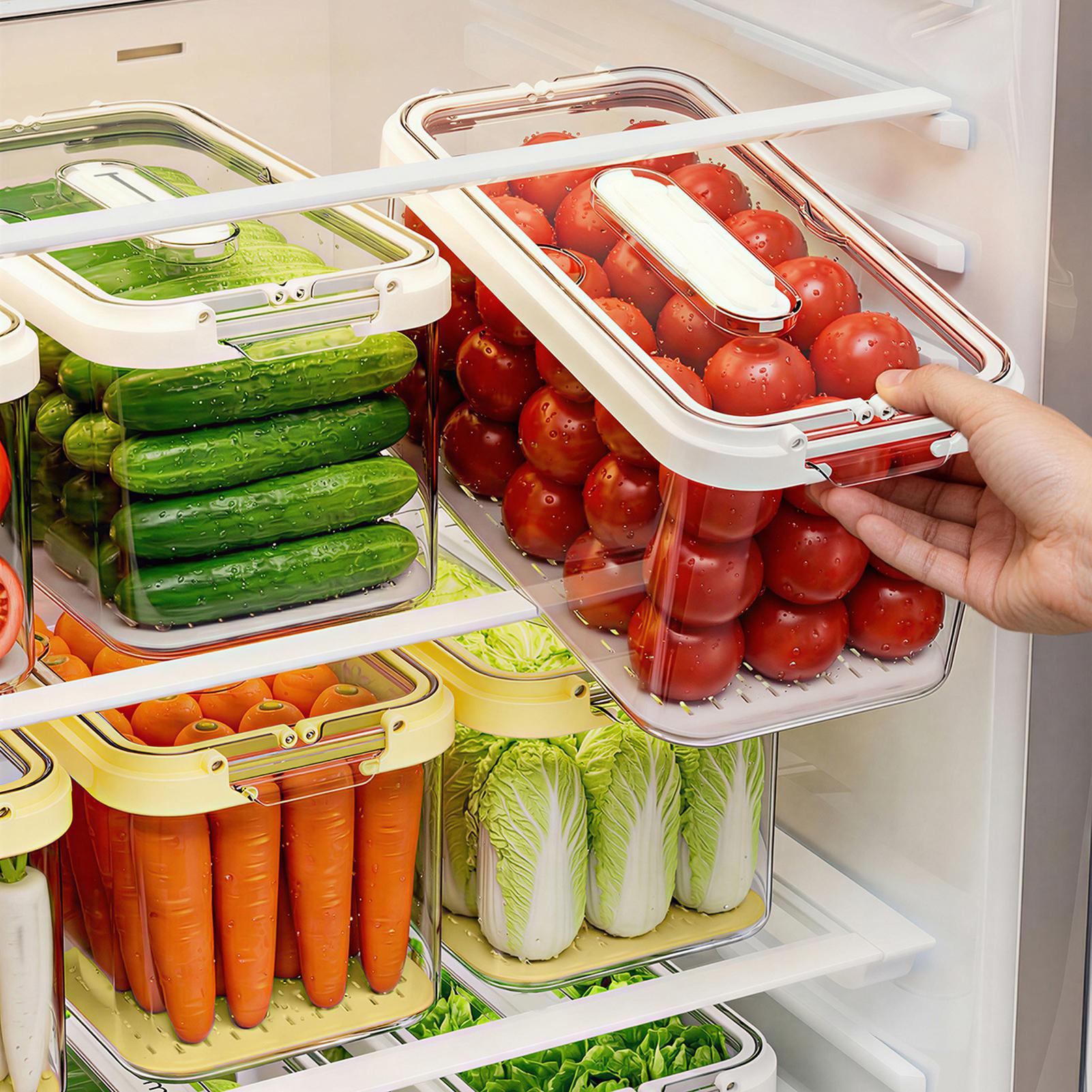 Food Organizer Containers For  - Food Storage Large Plastic Containers review and price