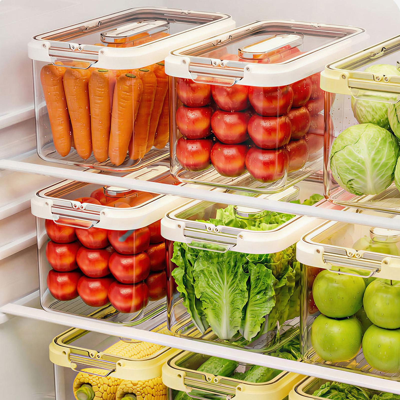 Food Organizer Containers For  - Food Storage Large Plastic Containers review and price