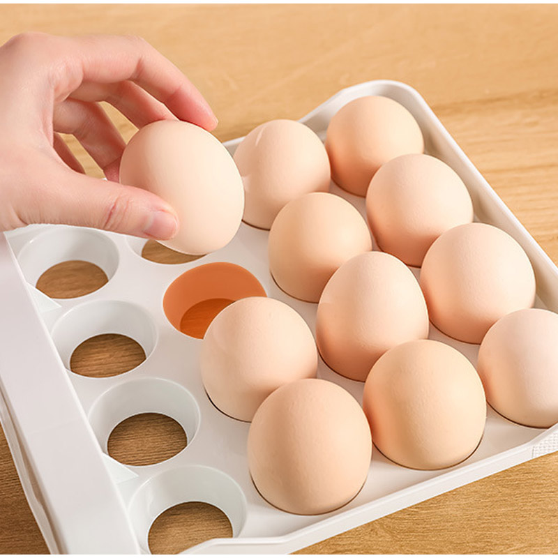 Double Layer Egg Storage Box w - Food Storage Large Plastic Containers review and price