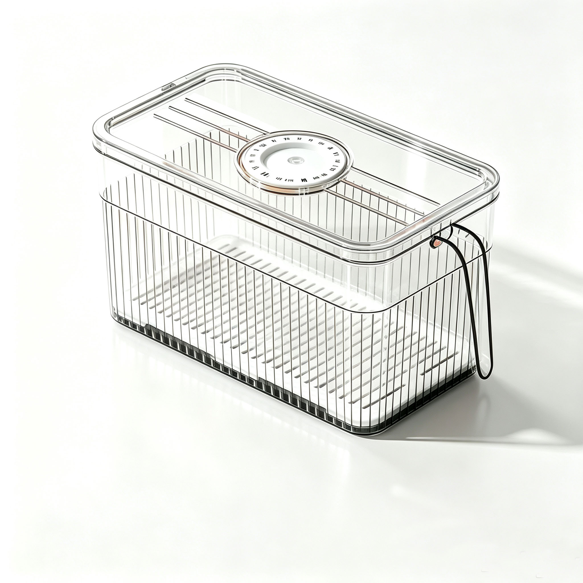 Refrigerator Storage Box with  - Food Storage Oven Safe review and price