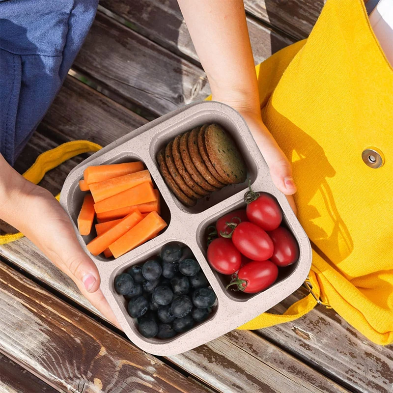 4 Grids Food Storage Box Porta - Food Storage Eco Friendly review and price