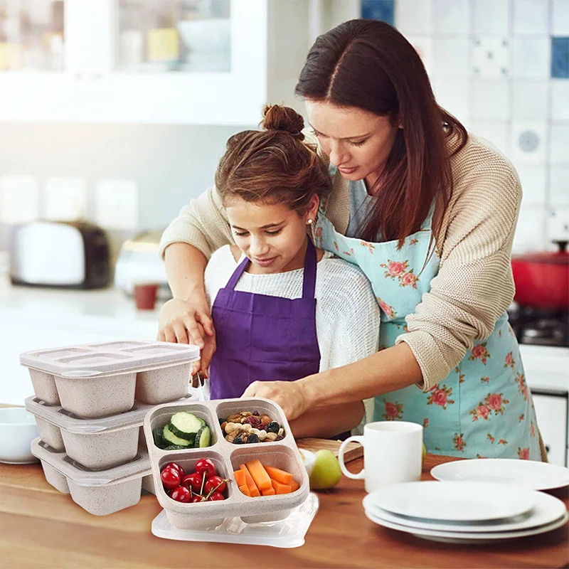 4 Grids Food Storage Box Porta - Food Storage Eco Friendly review and price