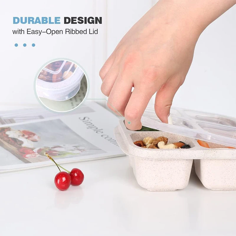 4 Grids Food Storage Box Porta - Food Storage Eco Friendly review and price
